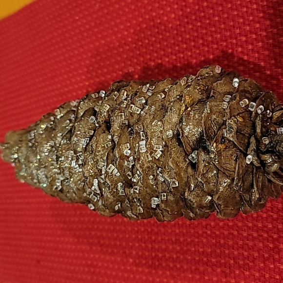 Very Large Pine Cones - Picture 3 of 7